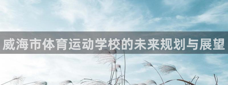 MK体育官网下载平台注册要钱吗安全吗:威海市体育运动学校的未