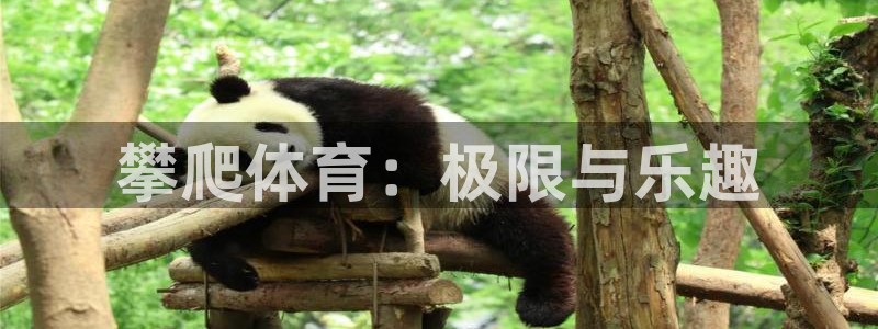 MK体育官方正版app集团官网首页网址:攀爬体育:极限与乐趣