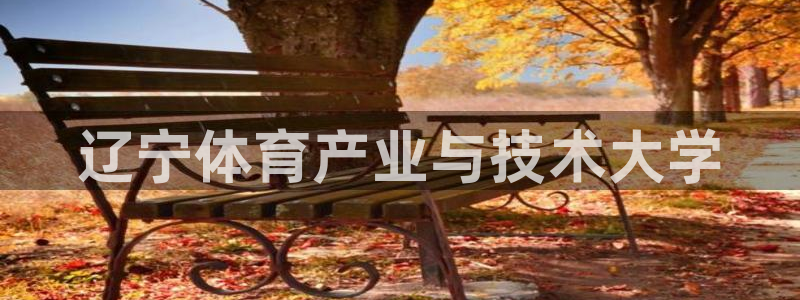 MK体育官方正版app娱乐是那个系列的台子:辽宁体育产业与技