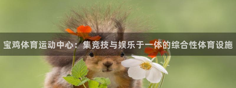 MK体育官网下载注册:宝鸡体育运动中心:集竞技与娱乐于一体的